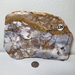 High Quality Dendritic Opalized Blue Agate Slabs 