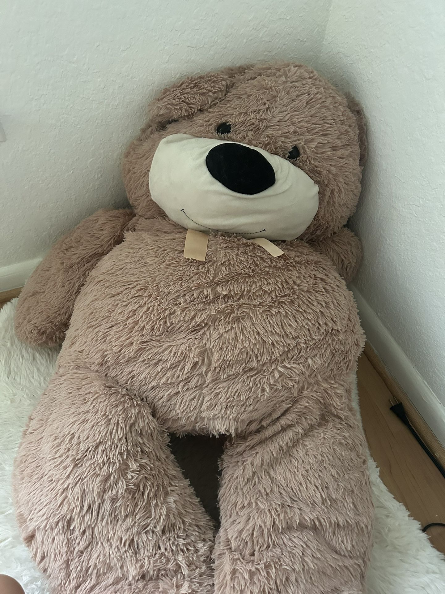 Giant Teddy