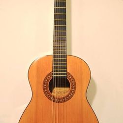 Beginner Acoustic Guitar-Sunlite GCN 800