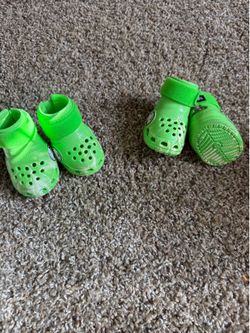 Dog Crocs