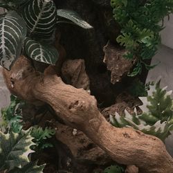 Exo Terra 10 Gal 12x12x18, With Decor 