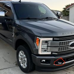 Chrome F250 Tow Hooks