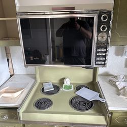 60's or 70's GE Americana built-in.