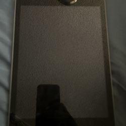 iPad 5th Gen