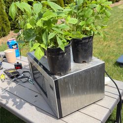 Raspberry shut 