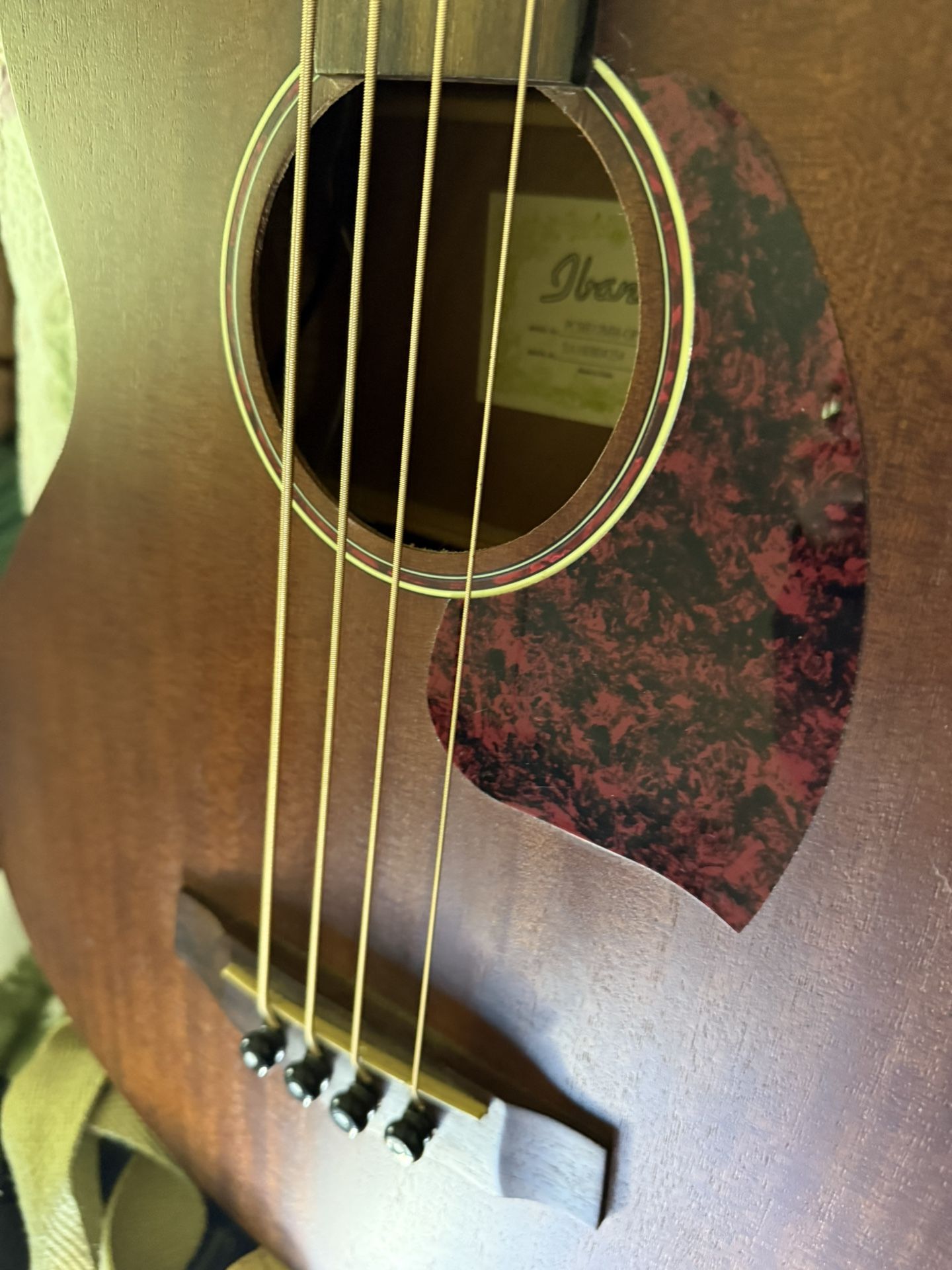 Ibanez Electric Base Guitar