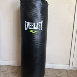 Everstrike 70lb Heavy Bag