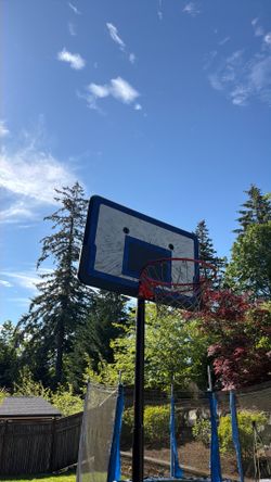 Free Basketball Hoop