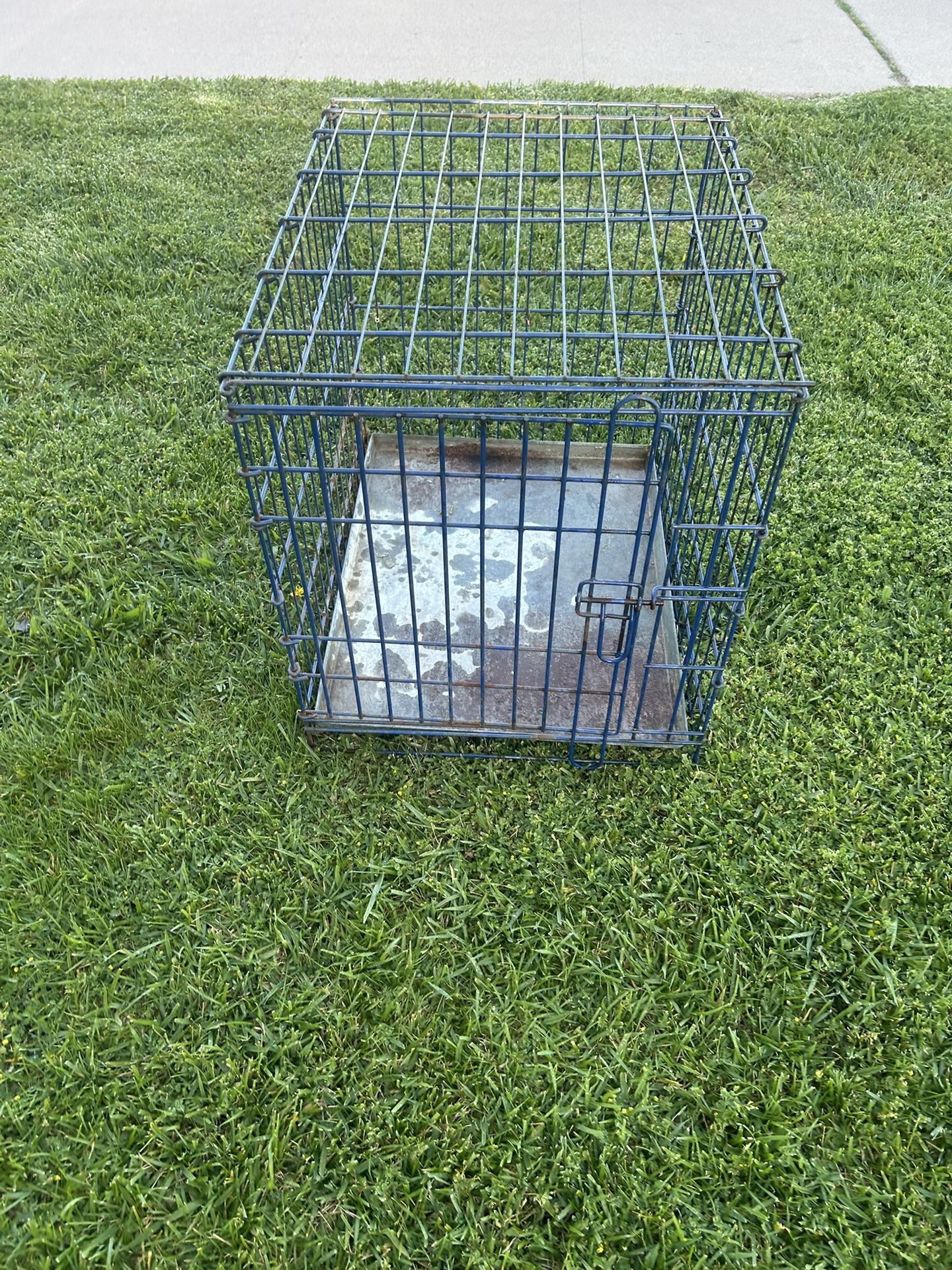 Dog Kennel