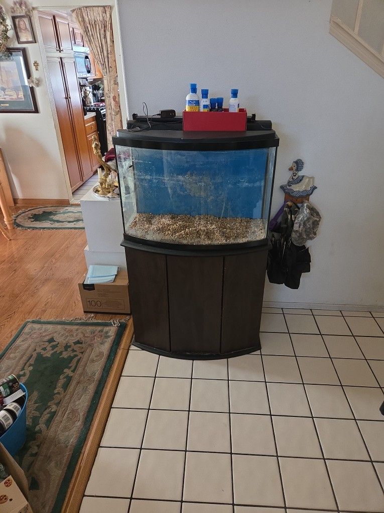 40 Gallon Fish Tank