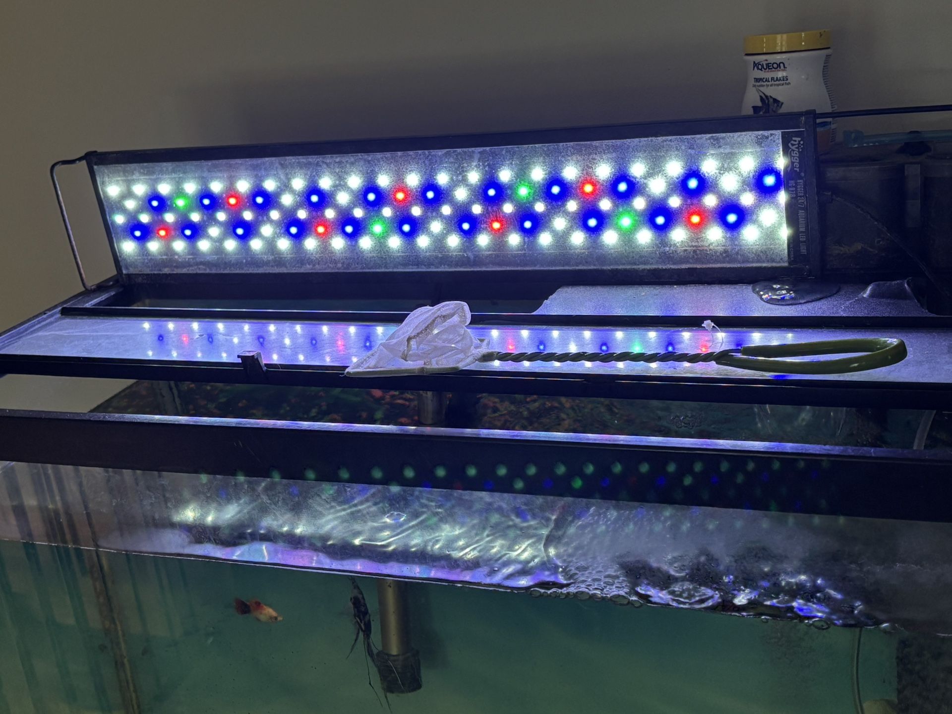 Fish Tank With Stand