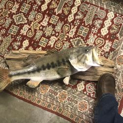 Wall Hangers For Cabin Or Rustic Look 