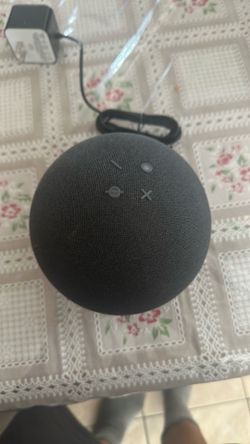 Alexa Echo