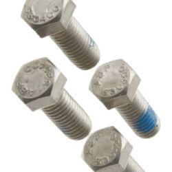 Pool Motor Bolts
