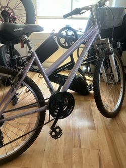 Roadmaster Mountain Bike