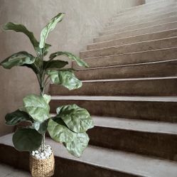 Artificial Silk Plant  With Wicker Basket And Rocks 