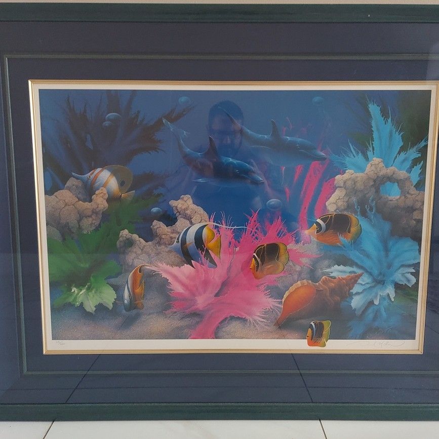 David Miller VIVID SPLENDOR 額装アート David Miller Vivid Splendor Signed Lithograph for Sale in