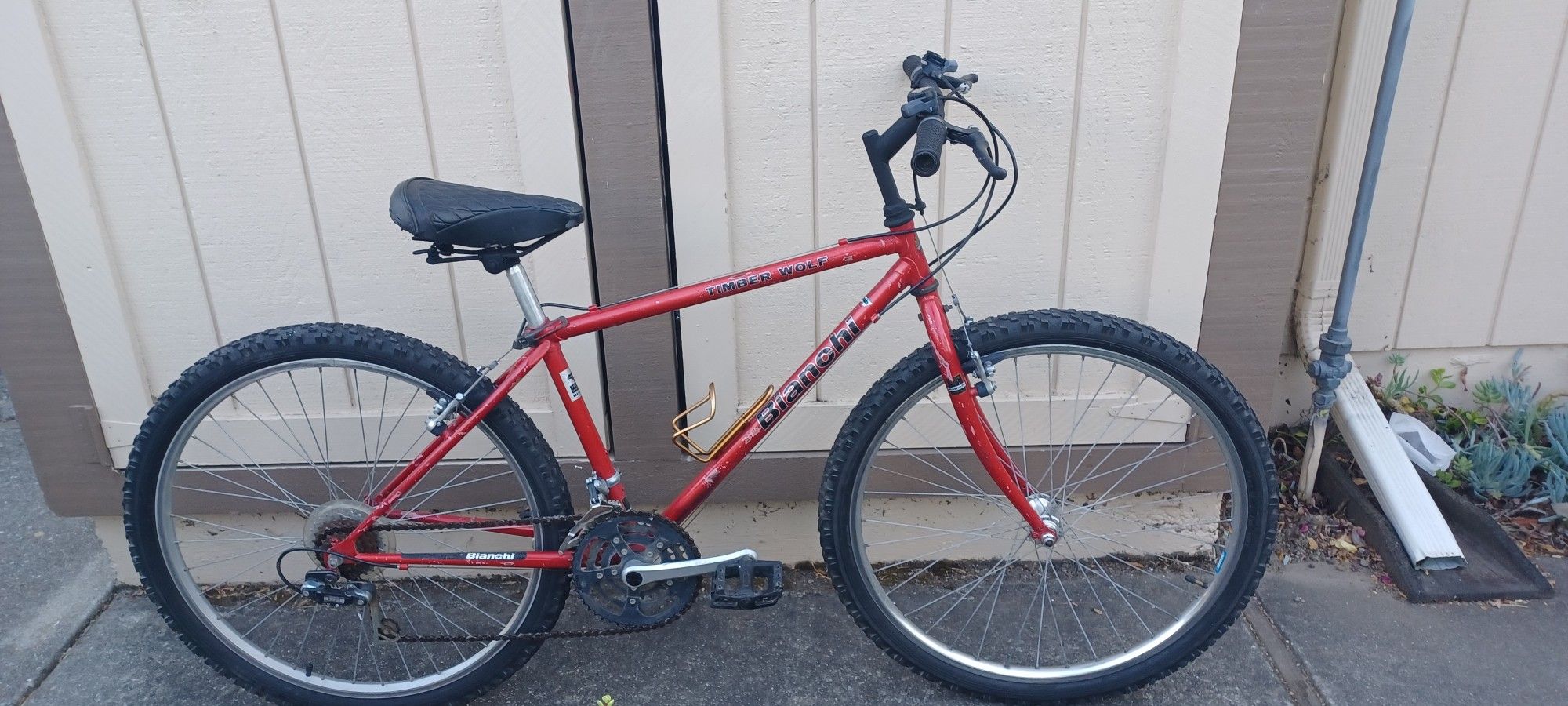 Bianchi Mountain Bike