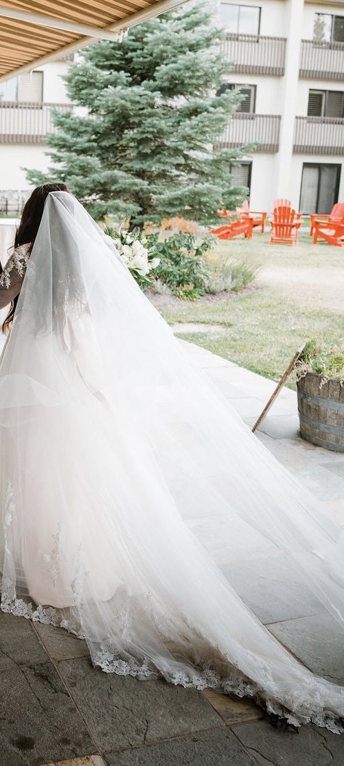 Wedding Dress With Veil