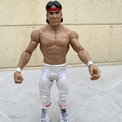 WWE Action Figure : Ricky Steamboat 