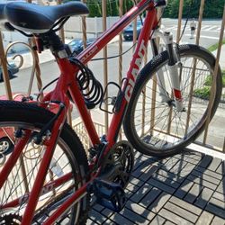 Giant Bike, Red