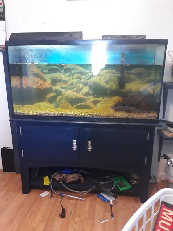 60 gallon aquarium for Sale in Hemet, CA OfferUp