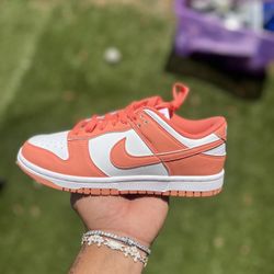 Low next nature dunks