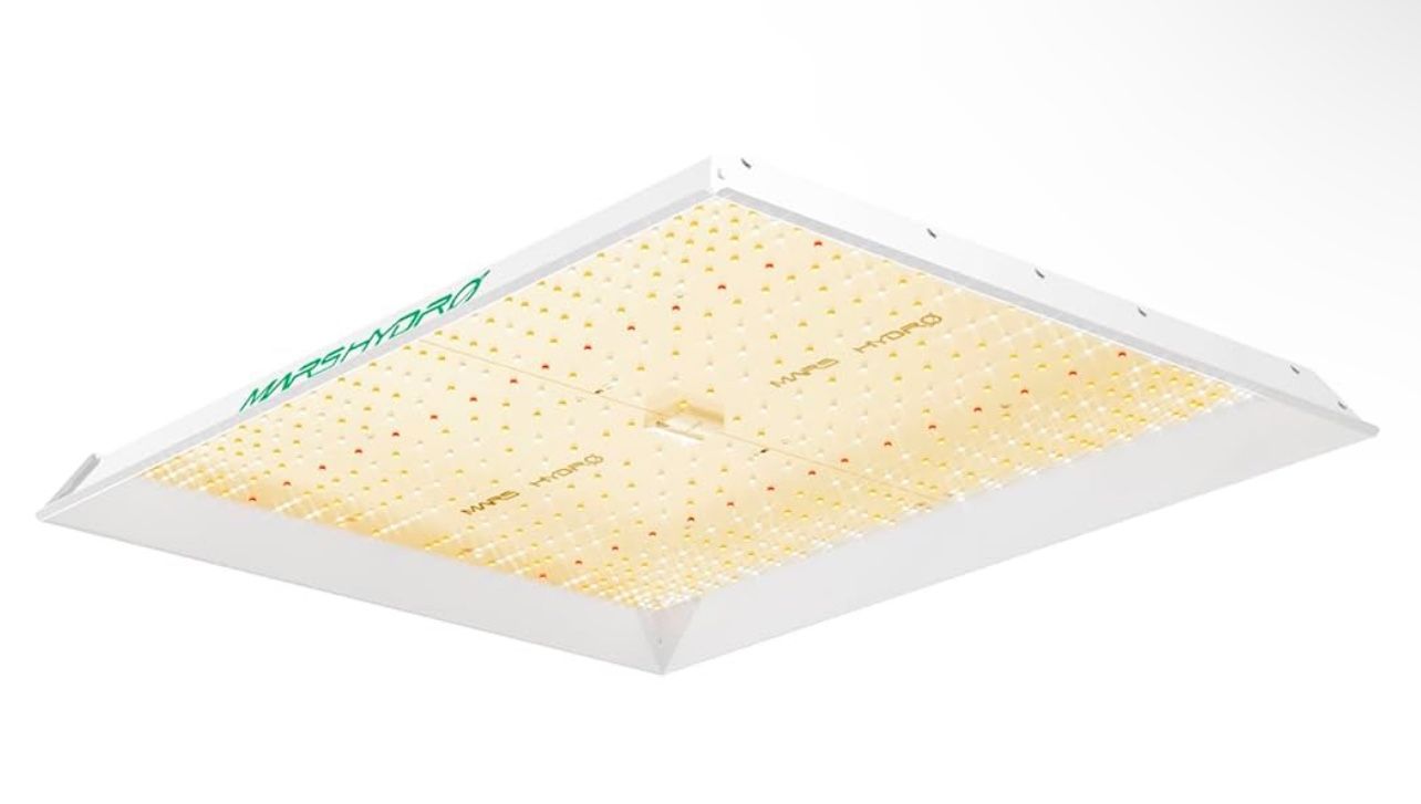 Mars hydro TSW 2000 Grow Light