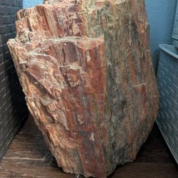 XL Petrified Wood Log Approx 60 Lbs