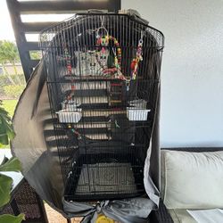 love birds and cage