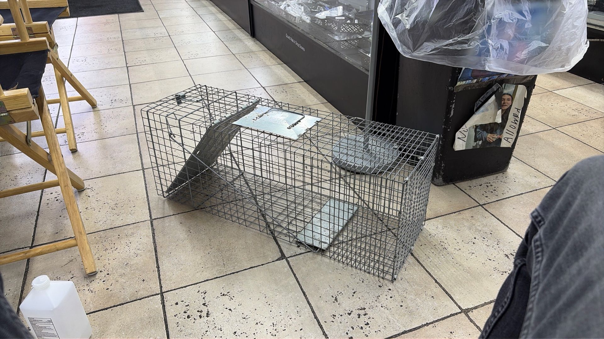 1-Door Professional Live Animal Cage Trap for Raccoon, Opossum, Groundhog, and Feral Cat