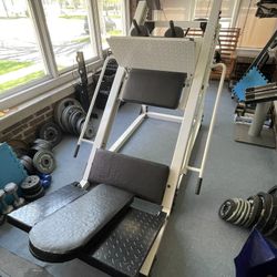 Leg Press Hack Squat 