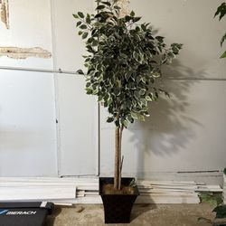 Fake Plant 5ft Tall