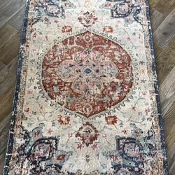 New Danica Area Rug 3’3” x 4’11”