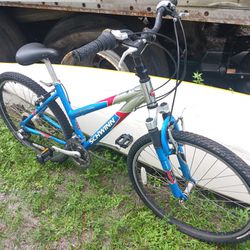 Schwinn Mountain Bike 21 Speed