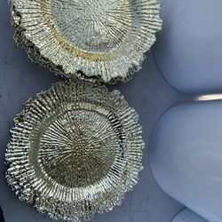 20 Plates 