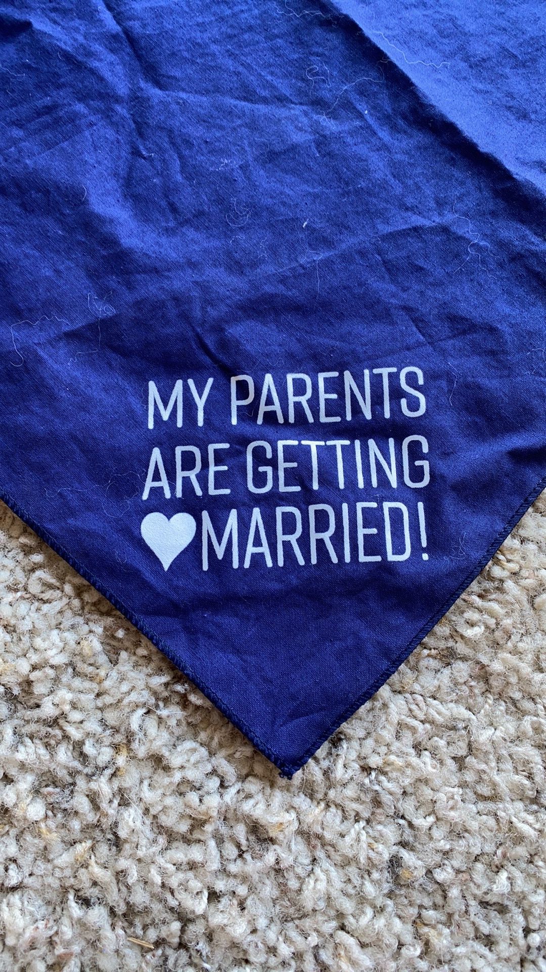 My Parents Are Getting Married Bandana 