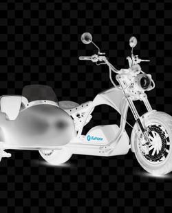 E Scooter with Sidecar