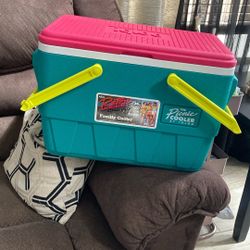 IGLOO RETRO COOLER
