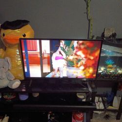 32 Inch Roku Tv