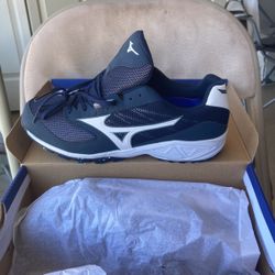Mizuno Coach Shoes