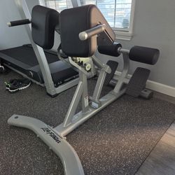 Back Extension  Life Fitness   READ BELOW.  Dr0p0ff Avail. 