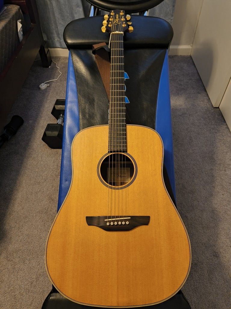Takamine G 10 Acoustic