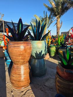 🌵 Fresh Southwest Finds🪷NEW Cactis
Birdbaths🐦MACETAS, Metal yard art