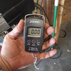 Digital Fish Scale