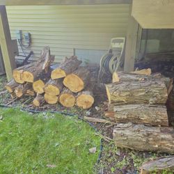 Free Fire Wood