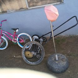 For Sale True Cut Everything 30