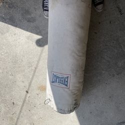 everlast punching bag