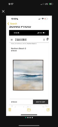 Z Gallerie Wall Art 48x48