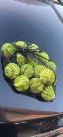 Used Tennis Balls in Mesh Bag